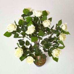 Homescapes White Potted Rose Tree Artificial Plant with green leaves, 90 cm - White - thumbnail 2
