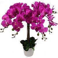 Artificial Office Plants - Pink Bushy Orchid Potted in White Pot - Dark Pink - image 1