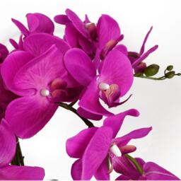 Artificial Office Plants - Pink Bushy Orchid Potted in White Pot - Dark Pink - thumbnail 2