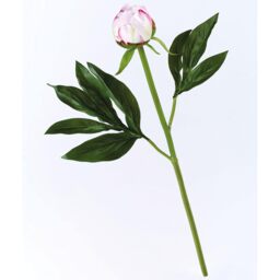 Artificial Single Sarah Bernhardt Peony Bud Flower Stem L45cm - Pink - thumbnail 2