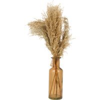 Pampas in Amber Vase Arrangement - Neutral - thumbnail 1
