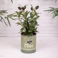 Artificial Faux Olive or Mint Plant Vintage Retro Metal Pot - Olive - Green