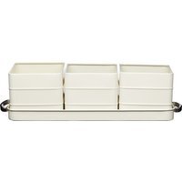 Living Nostalgia Antique Cream Herb Pots with Tray - Cream - image 1