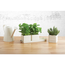 Living Nostalgia Antique Cream Herb Pots with Tray - Cream - thumbnail 5