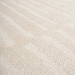 Cream Minimalist Area Rug - Cream & Neutral Beige / 80cm x 150cm (Small) - thumbnail 5