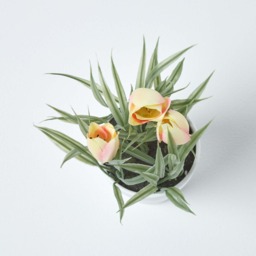 Homescapes Pink  Cream Artificial Tulips in White Decorative Pot, 22 cm Tall - Pink - thumbnail 5