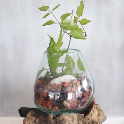 Hand Blown Molten Glass on Wooden Stand Decorative Bowl - Turquoise - thumbnail 3