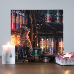 Lisa Parker's Magical Emporium Light Up Canvas Plaque - Black - thumbnail 5