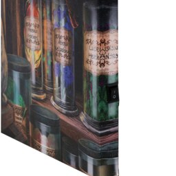 Lisa Parker's Magical Emporium Light Up Canvas Plaque - Black - thumbnail 3