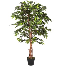 Homescapes Green Ficus Tree Artificial Plant with Twisted Real Wood Stem, 4 Ft - Green - thumbnail 5
