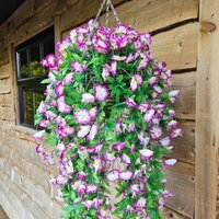 Morning Glory Trailing Flowers with Rattan Wicker Hanging Baskets - Lilac & White