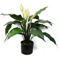 Artificial Peace Lily White Potted - White
