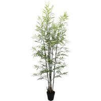UV Botanica Bamboo Plant Green Green - Green