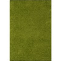 Myshaggy Collection Rug - Green / 60x110