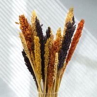 Vibrant Cantal Grass Bunch Dried Floral Decor Craft Material - Orange - image 1