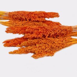 Vibrant Cantal Grass Bunch Dried Floral Decor Craft Material - Orange - thumbnail 2