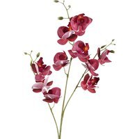 Dark Pink Artificial Mini Orchid Stem - 80cm Dark Pink Mini Orchid