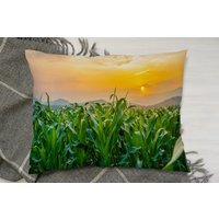 Green Corn Field In Agricultural Garden And Light Shines Sunset Cushion - Green - image 1