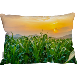 Green Corn Field In Agricultural Garden And Light Shines Sunset Cushion - Green - thumbnail 2