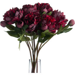 Burgundy Peony Rose  - Red - thumbnail 2