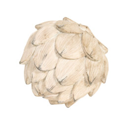 Rustic Artichoke Ornament - Natural - thumbnail 4