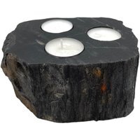 Petrified Wood Candle Holder Triple - Brown