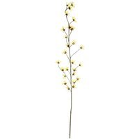 Botanica Yellow Hamamelis Branch - Yellow