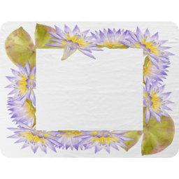 Gold  Purple Flowers Blanket - Pink - thumbnail 2