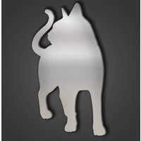 Abyssinian Cat Style 2 Silver Acrylic Mirror - Silver / 60cm