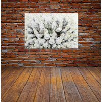 French Beautifully White Graphic Art Wrapped on Canvas - White / 46cm - image 1