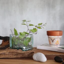 Molten Glass Tank on Wood Stand Small Decorative Bowl for Air Plants Stones - Turquoise - thumbnail 3