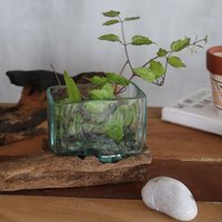 Molten Glass Tank on Wood Stand Small Decorative Bowl for Air Plants Stones - Turquoise