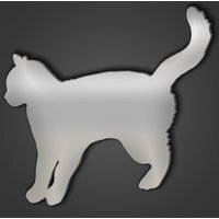 Cat Style 2 Silver Acrylic Mirror - Silver / Large
