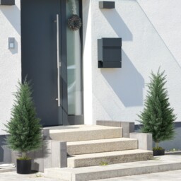 HOMCOM Set of 2 Decorative Artificial Plant  - Green / 58880 - thumbnail 3