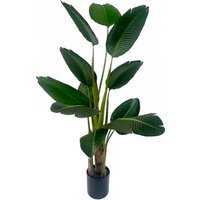 UV Resistant Traveller Banana Palm Tree - UV Traveller Banana Palm / 70cm