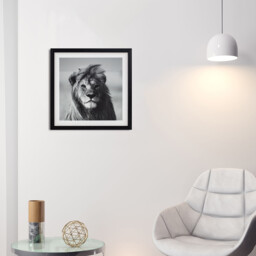 Monochrome Animal Framed Print - Black and White - thumbnail 2