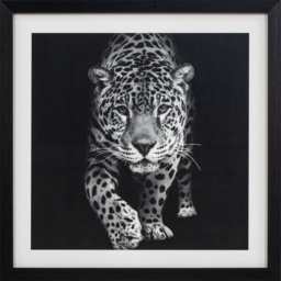 Monochrome Animal Framed Print - Black and White - thumbnail 5