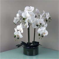 50cm Artificial Orchid with White Glass Planter - White