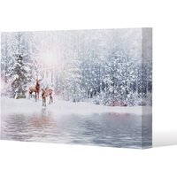 In The Frost Gallery Canvas - Blue / 31cm / 41cm - image 1