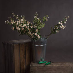Wild Meadow Rose Natural Floral Decor - Cream - thumbnail 2
