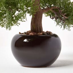 Homescapes Artificial Bonsai Tree in Black Ceramic Pot - Green - thumbnail 3