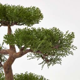 Homescapes Artificial Bonsai Tree in Black Ceramic Pot - Green - thumbnail 2