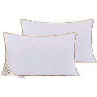 Grey Shredded Supersoft Goose Feather and Down Pillows - Grey / 2