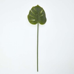 Homescapes Green Monstera Tropical Leaf 70 cm - Green - thumbnail 2