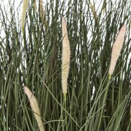 Faux Grass Plant in Styling Bowl Pot Not Included - Green - thumbnail 3