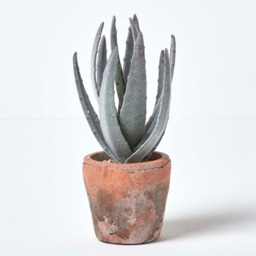 Homescapes Aloe Vera Artificial Succulent in Rustic Terracotta Pot, 21 cm Tall - Green - thumbnail 2