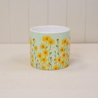 Rustic Yellow Daisy Field Pot Plant pot - Multi