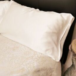 White Mulberry Silk Pillowcase  - white - thumbnail 2
