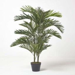 Homescapes Multi Stem Green Palm Tree in Pot, 120 cm - Green - thumbnail 5