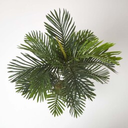 Homescapes Multi Stem Green Palm Tree in Pot, 120 cm - Green - thumbnail 2